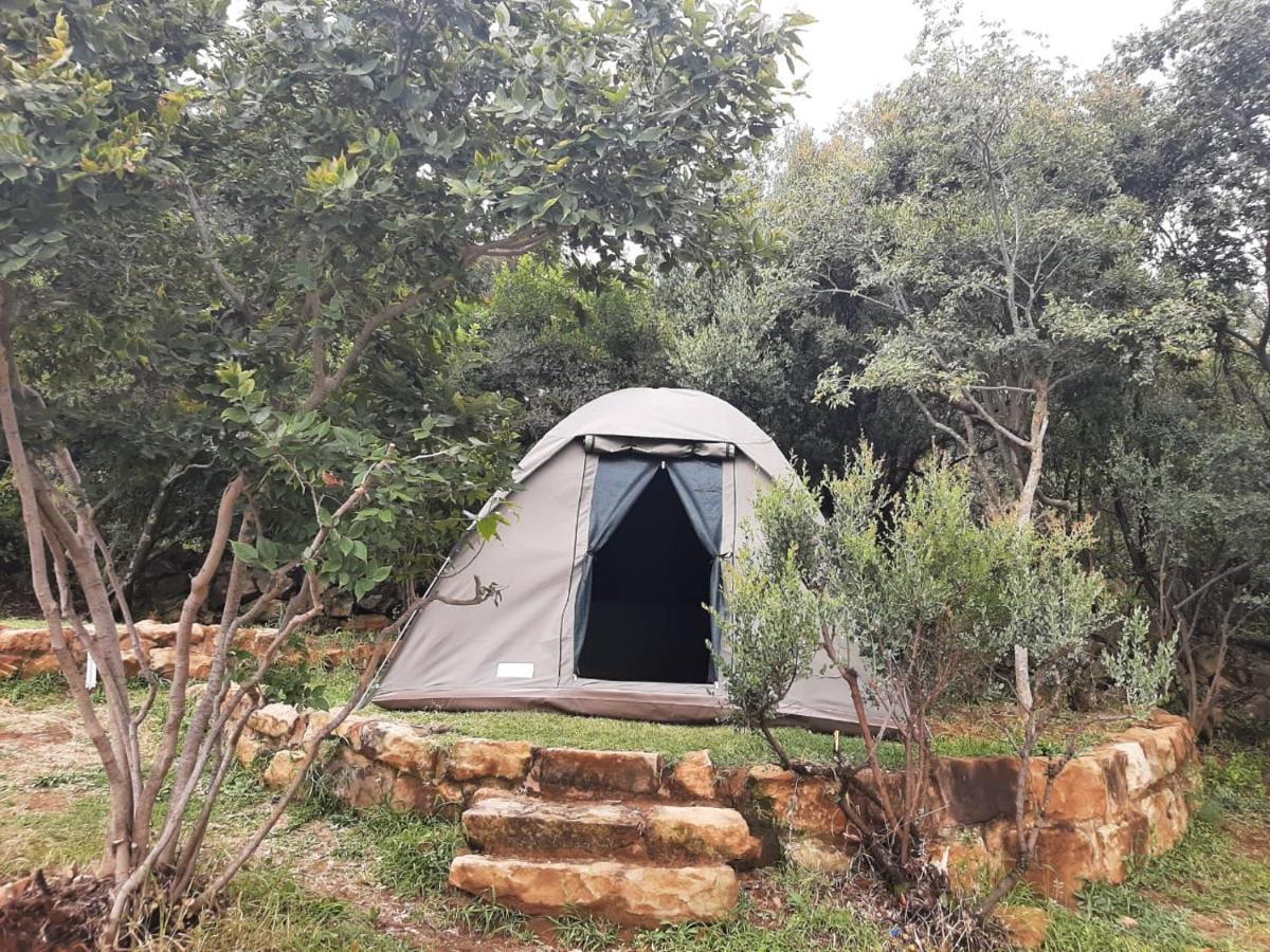 Imla Guest Farm Otel Ficksburg Dış mekan fotoğraf