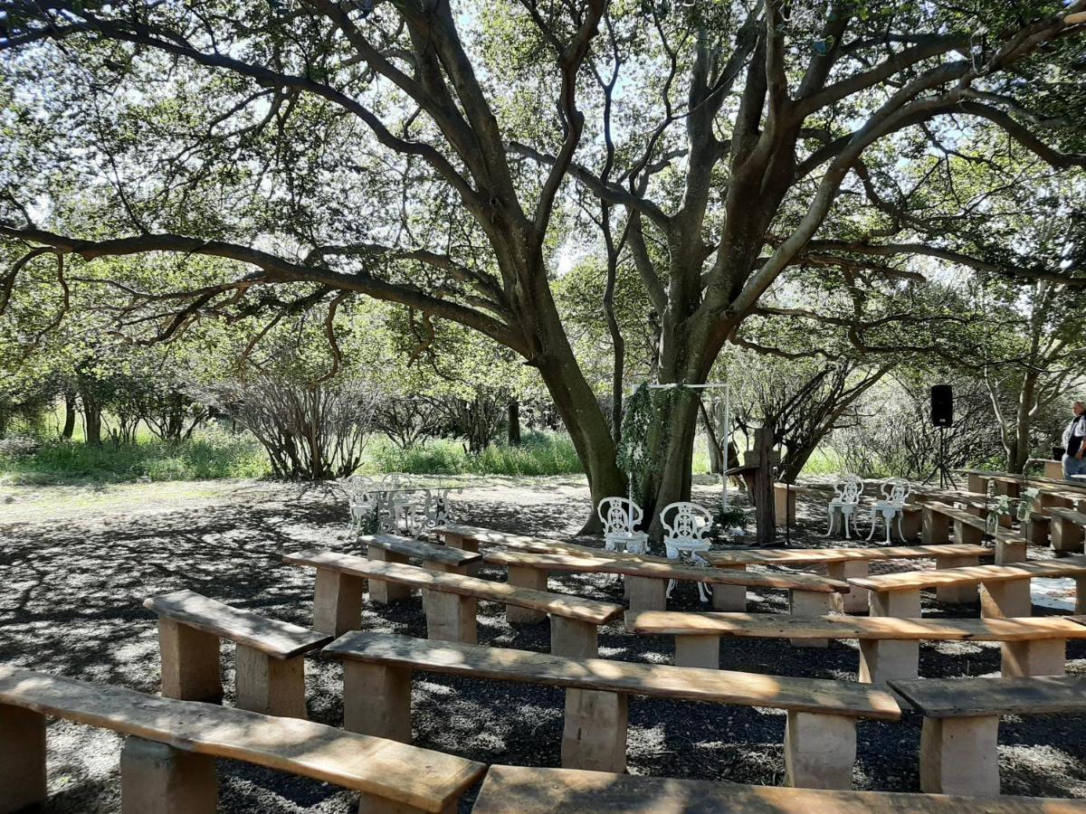 Imla Guest Farm Otel Ficksburg Dış mekan fotoğraf