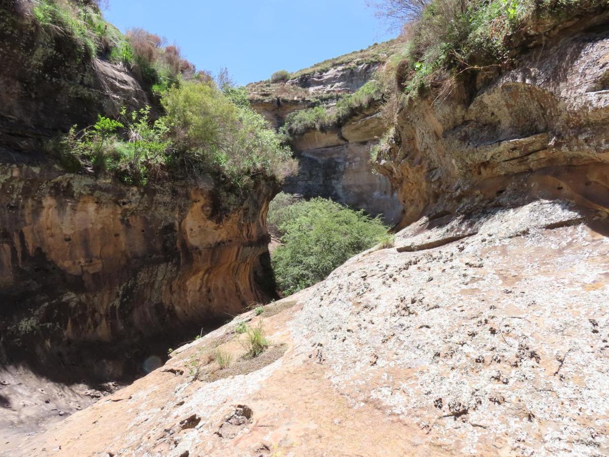 Imla Guest Farm Otel Ficksburg Dış mekan fotoğraf
